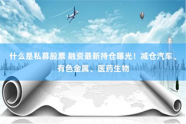 什么是私募股票 融资最新持仓曝光！减仓汽车、有色金属、医药生物