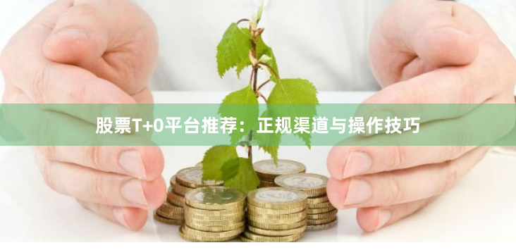 股票T+0平台推荐：正规渠道与操作技巧