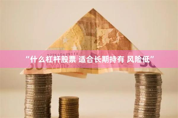 “什么杠杆股票 适合长期持有 风险低”