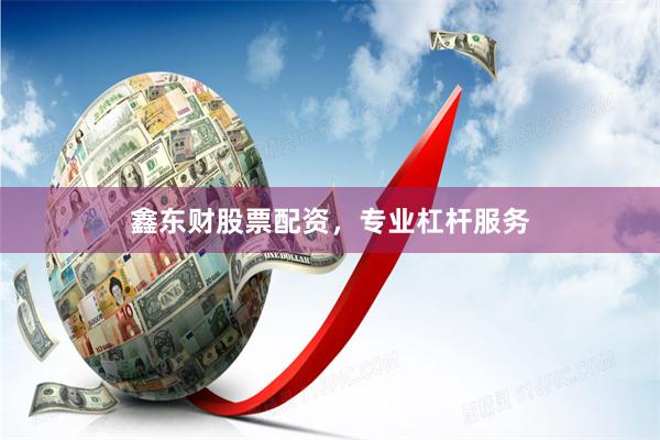 鑫东财股票配资，专业杠杆服务